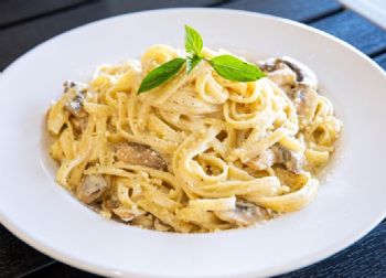 FETTUÇİNİ       ALFREDO